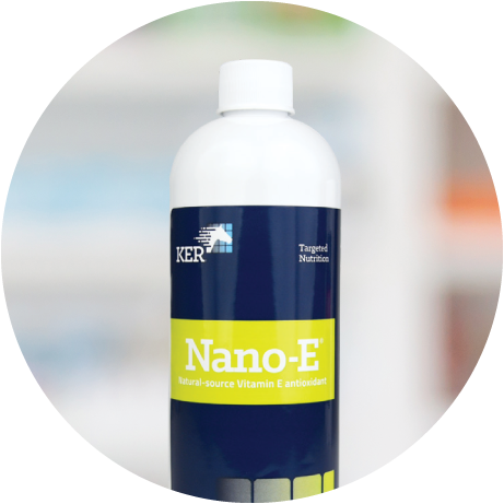 Nano-E