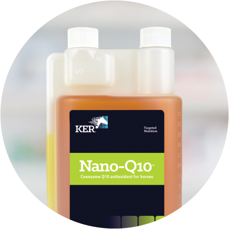 Nano-Q10